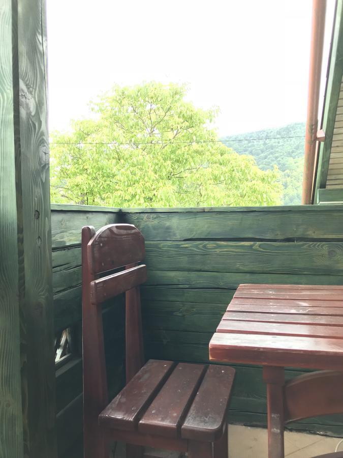 Cottage Shchaslyvyi Jaremtsje Buitenkant foto