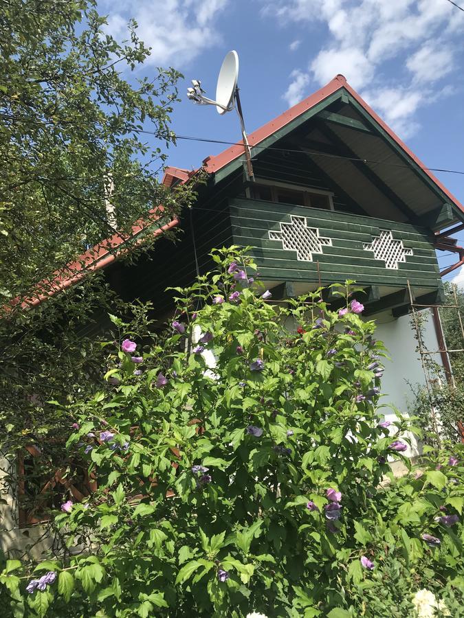 Cottage Shchaslyvyi Jaremtsje Buitenkant foto